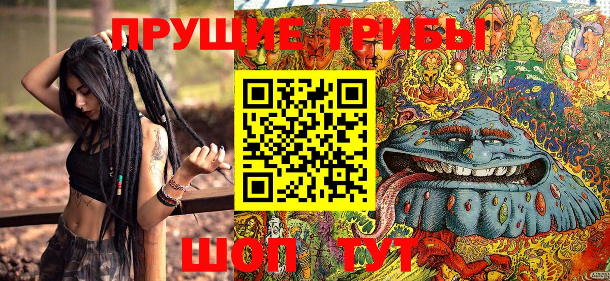 Галлюциногенные грибы Magic Shrooms  цены наркотик  Губаха  Вход с VPN 