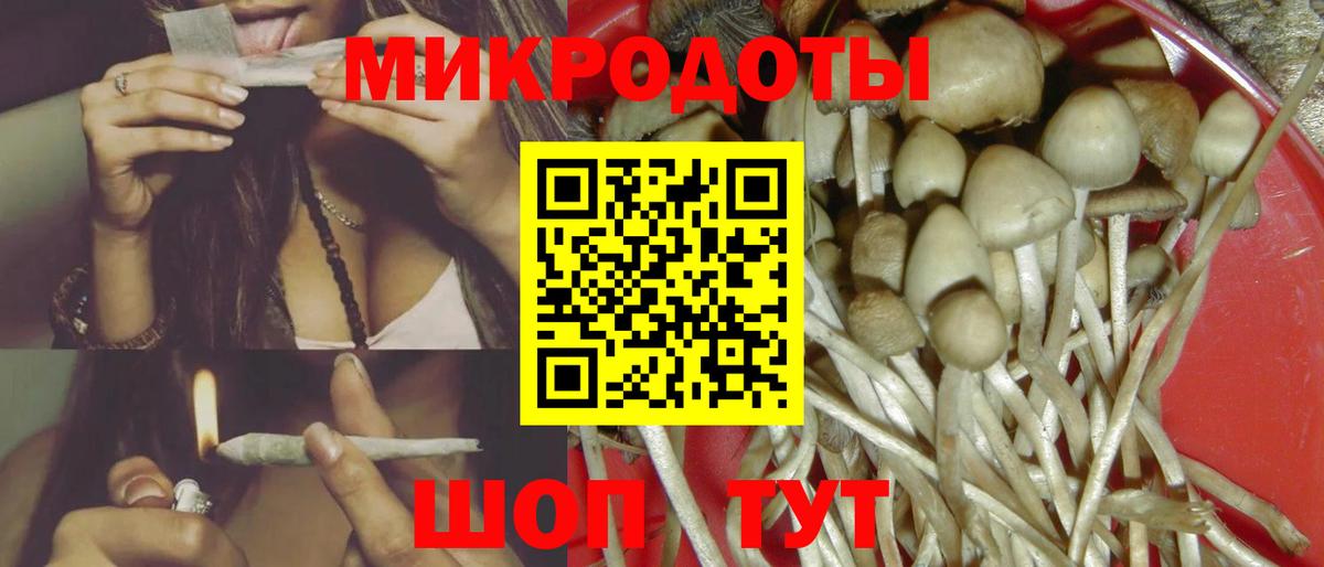 Галлюциногенные грибы мицелий Губаха